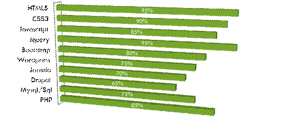 graphique Comp�tences